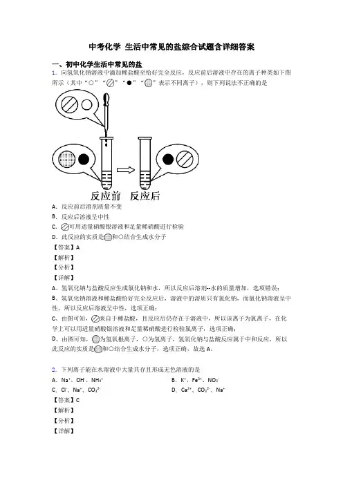 中考化学 生活中常见的盐综合试题含详细答案