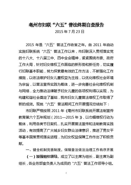 市妇联六五普法自查报告