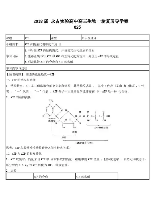 高中生物必修一第五章ATP导学案