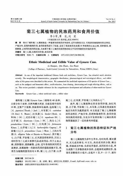 菊三七属植物的民族药用和食用价值