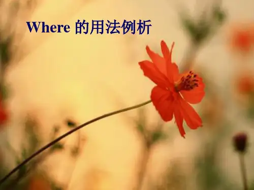 where的用法例析