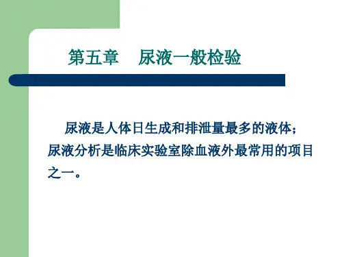 尿液的理学性质