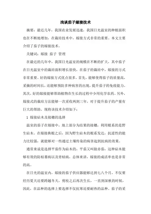 茄子嫁接技术