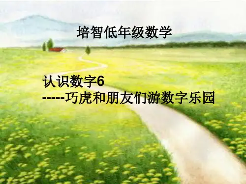 认识数字9——巧虎和朋友们游数字乐园