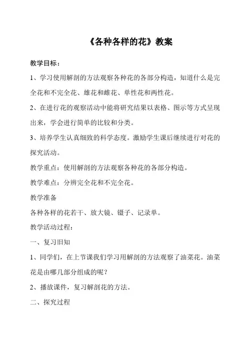 各种各样的花教案