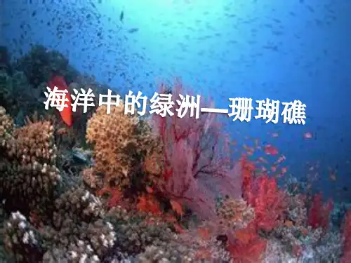 珊瑚礁