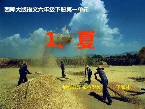1、《夏PPT课件》