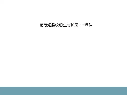 疲劳短裂纹萌生与扩展 ppt课件