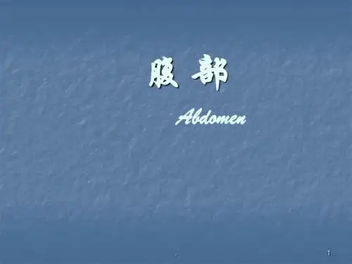 腹部局解ppt演示课件