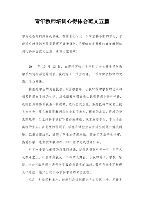 青年教师培训心得体会范文五篇