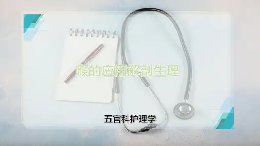 喉的应用解剖生理