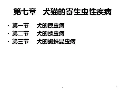第七章犬猫的寄生虫性疾病PPT课件