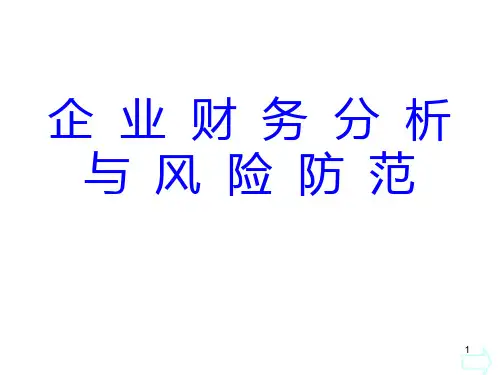 企业财务分析与财务风险防范(0805)学员版PPT课件