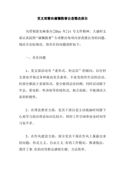 党支部整治庸懒散奢自查整改报告
