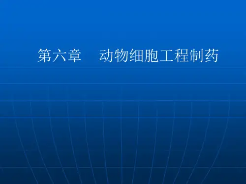 动物细胞制药