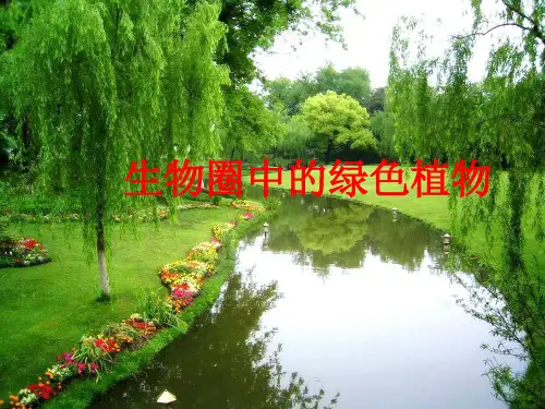 绿色植物的种类