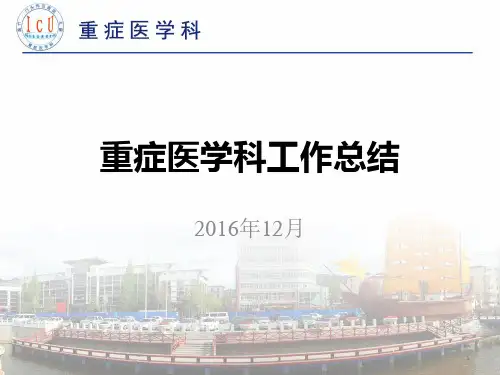 ICU工作总结科室2016ppt课件