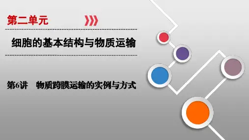高考生物随堂练习 (6)