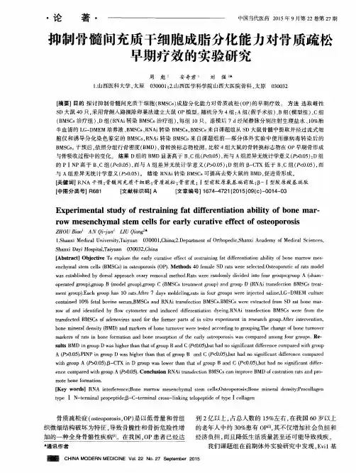 抑制骨髓间充质干细胞成脂分化能力对骨质疏松早期疗效的实验研究