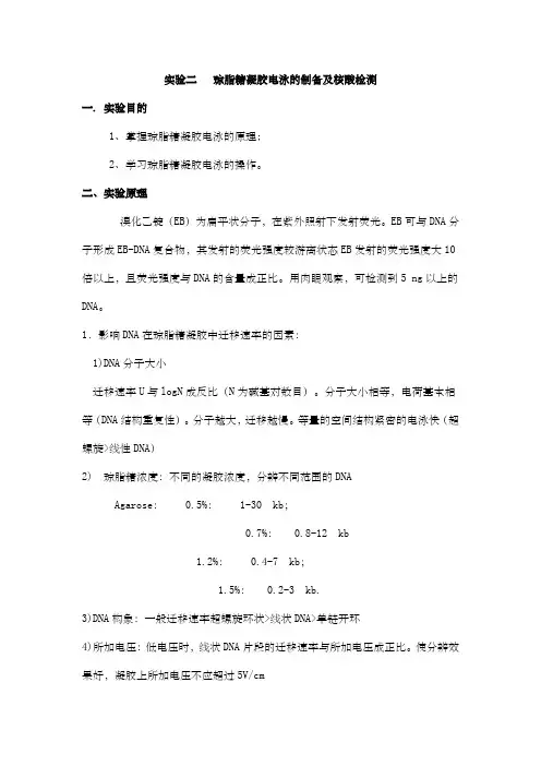 琼脂糖凝胶电泳的制备及核酸检测
