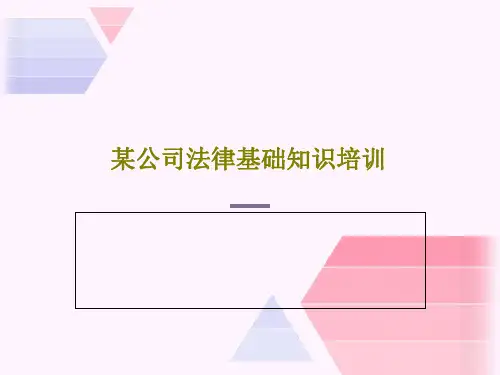 某公司法律基础知识培训共62页文档