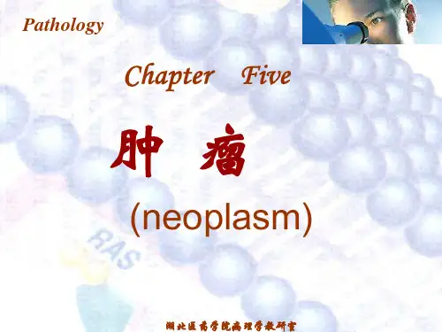 病理学 肿瘤
