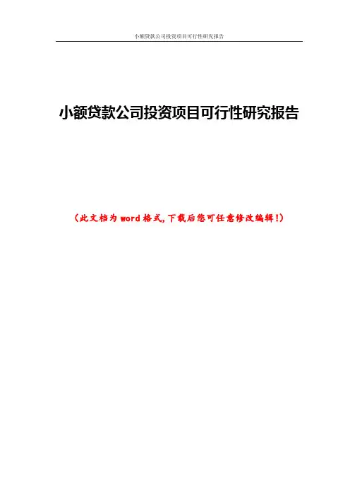 小额贷款公司投资项目可行性研究报告
