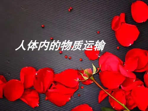 人体内的物质运输