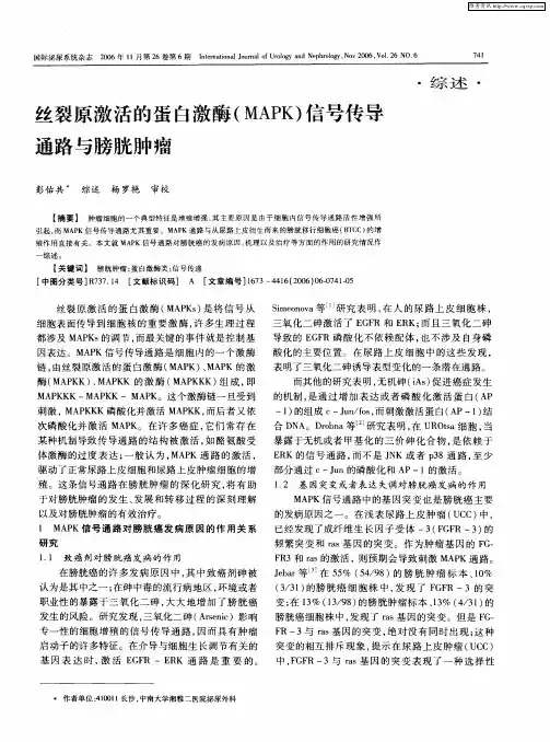丝裂原激活的蛋白激酶(MAPK)信号传导通路与膀胱肿瘤