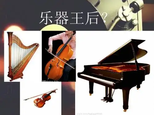 小提琴