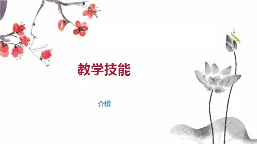 教学技能