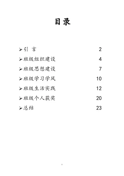 五四红旗团支部申请书