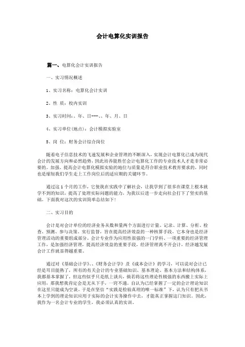 会计电算化实训报告