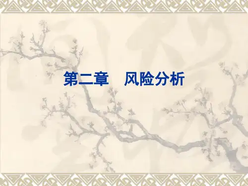 第2章风险分析1