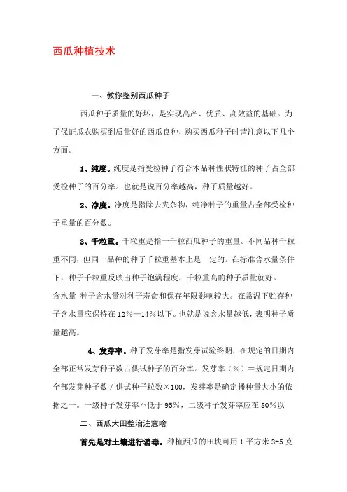 西瓜种植技术