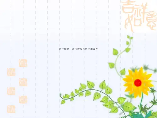 第二轮第一讲代数综合题中考课件