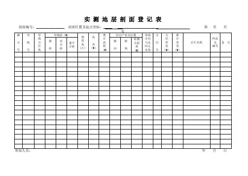 剖面登记表