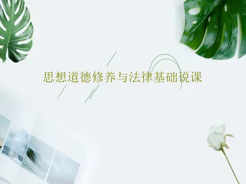 思想道德修养与法律基础说课共30页