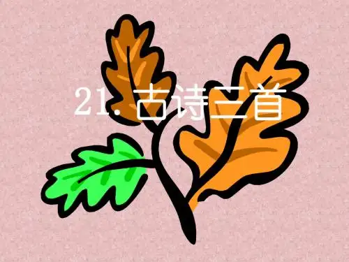 三年级语文九月九日忆山东兄弟