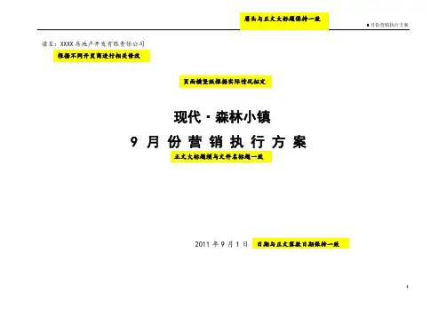 XXXX项目月度营销执行方案(详细版)