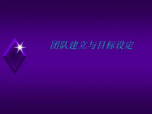 团队建立与目标设定