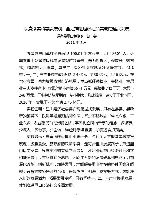 认真落实科学发展观  全力推进经济社会实现跨越式发展