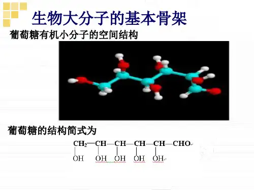 氨基羧基3脱水缩合反应236三肽BC