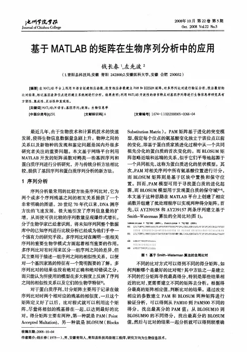 基于MATLAB的矩阵在生物序列分析中的应用