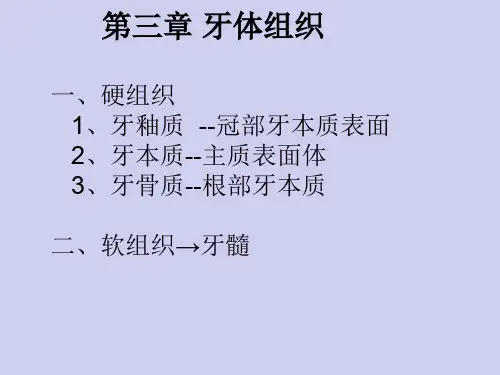 第三章 牙体组织