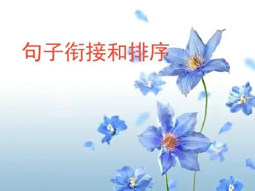 中考复习专题：句子衔接和排序ppt课件
