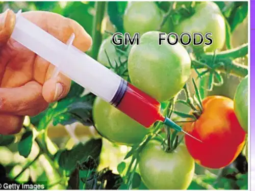 GM foods