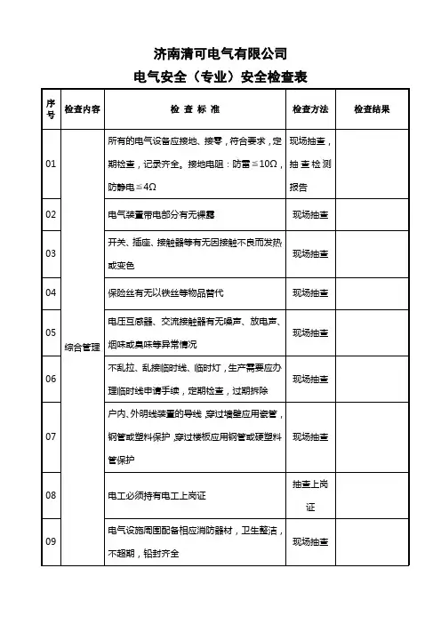 电气安全(专业)安全检查表