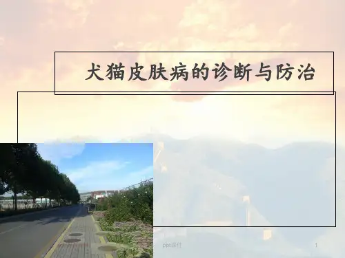 犬猫脓皮症和过敏性皮肤病  ppt课件