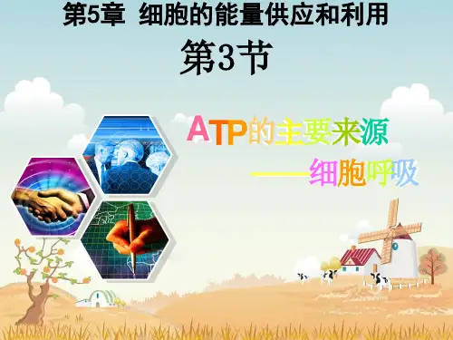 (使用)探究酵母菌细胞呼吸的方式